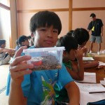 おれもオオクワゲット！