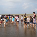 ハマグリの赤ちゃんたくさん見つけてね